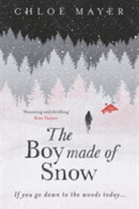 The Boy Made Of Snow