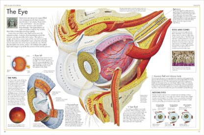 The Body Atlas: A Pictorial Guide to the Human Body - Image 5