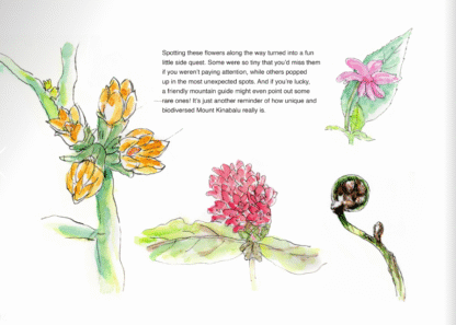 My Sabah Story: A Sketchbook from Mount Kinabalu to Gaya Street - Image 4
