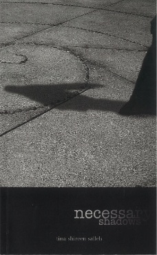 Necessary Shadows