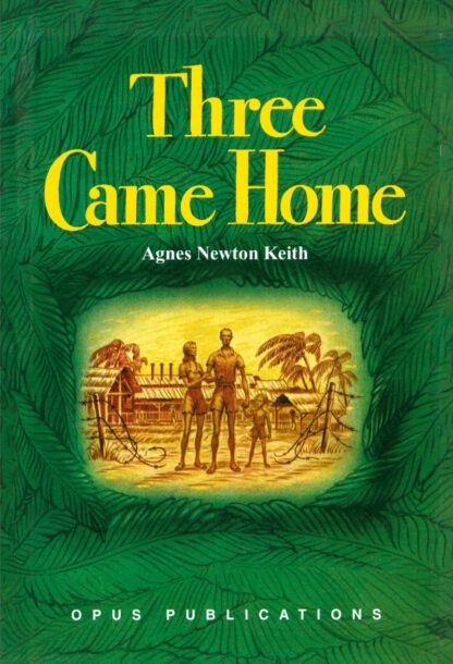 Three Came Home